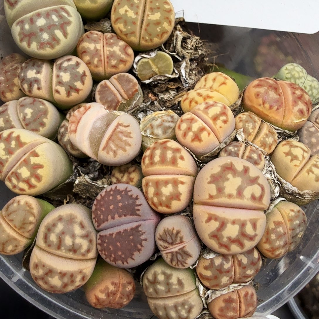 你不去上班就好哦224是