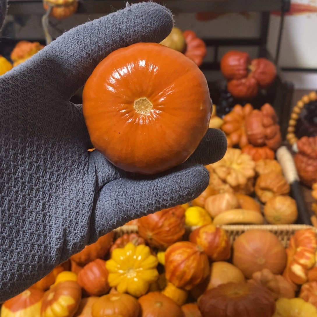 小***y7778876544433345677899