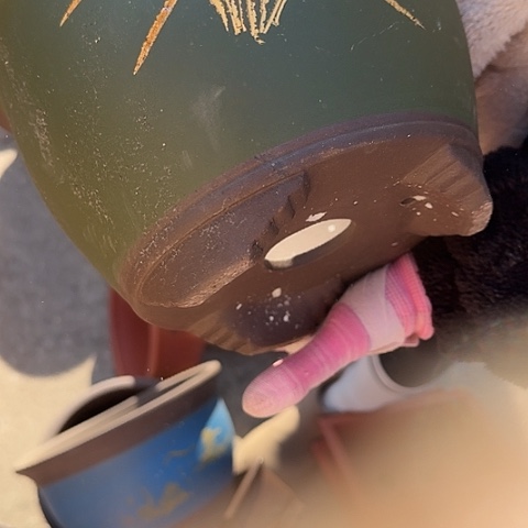 紫砂花盆花盆花盆花盆花盆33