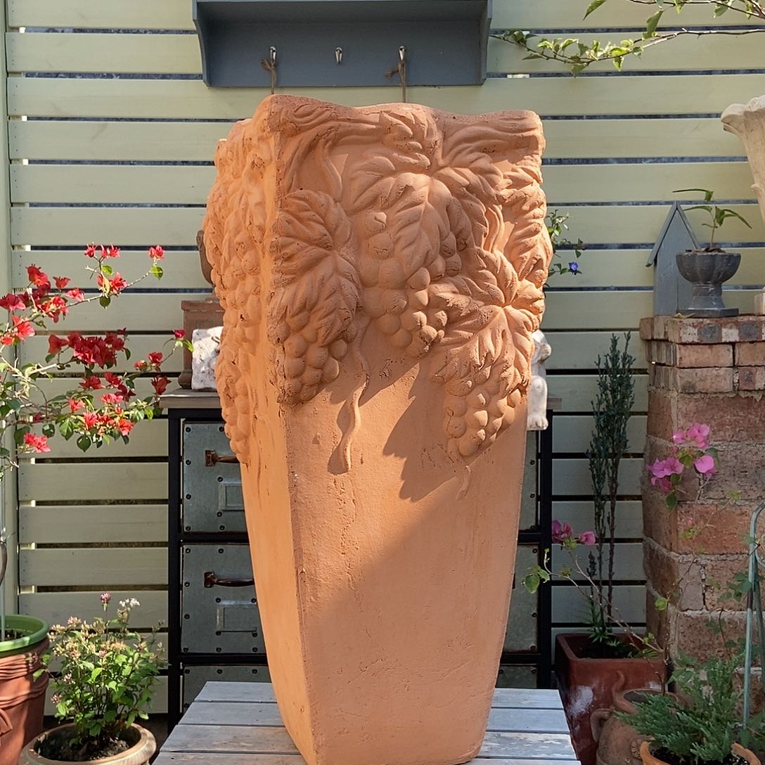 葡萄高盆口22.5高54.5微瑕福利特价