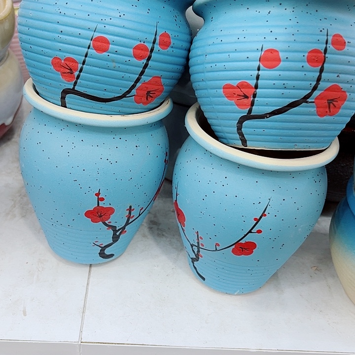 多肉植物陶瓷花盆