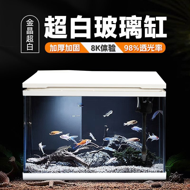 带盖金晶超白直角玻璃客厅家用水族箱过滤器增氧静音循环养鱼箱