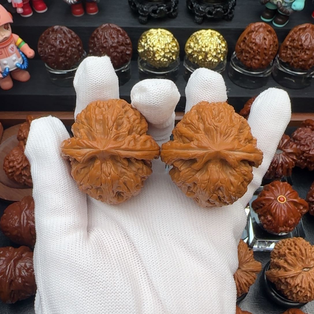 小冉核桃全品红锦鲤41