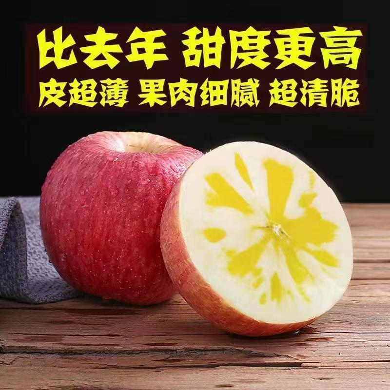 [新疆直发]正宗阿克苏冰糖心红富士苹果新鲜当季脆甜多汁D-1
