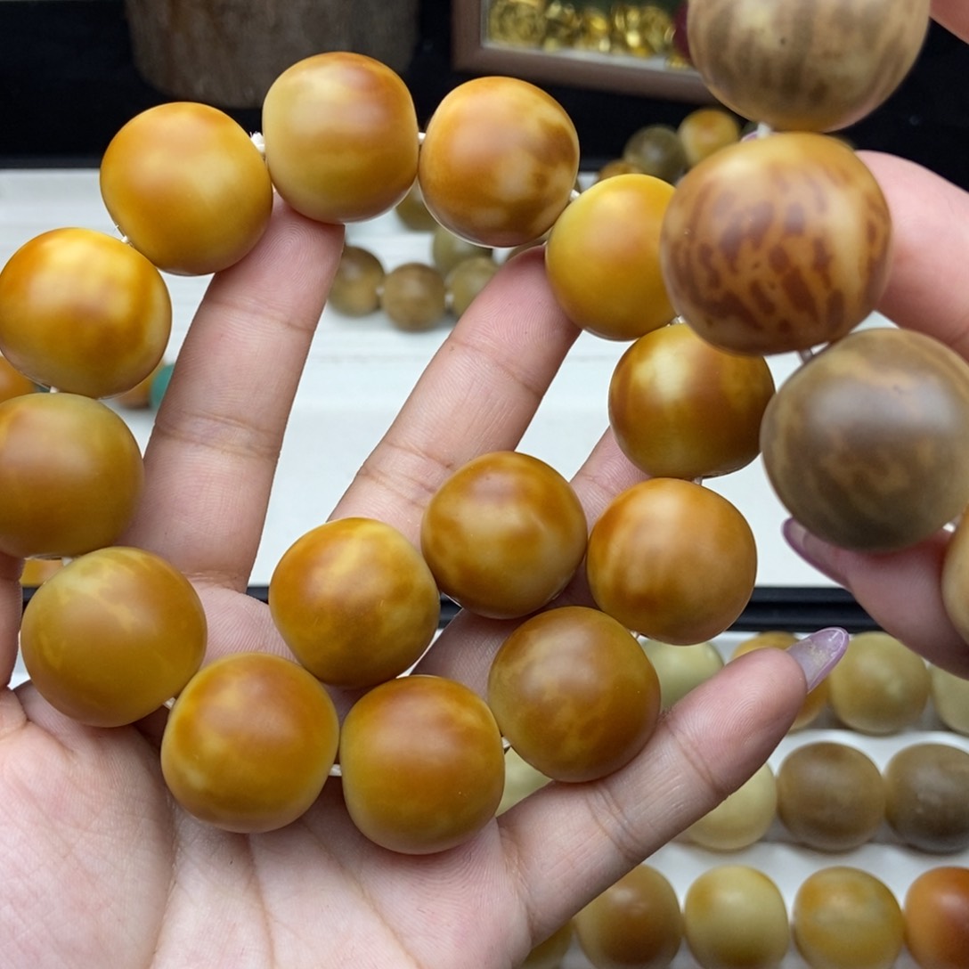 菩提根/象牙果吊坠肉*煲肉肉 微加全 不退换