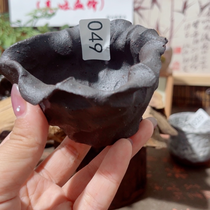 木村信弘柴烧保平