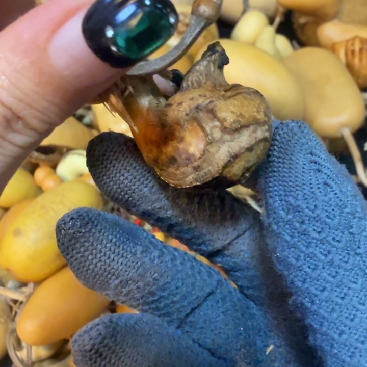 洋***娃健健康康健健康康健健康康