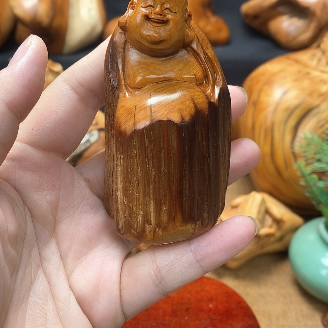 柏木（崖柏）一物一图