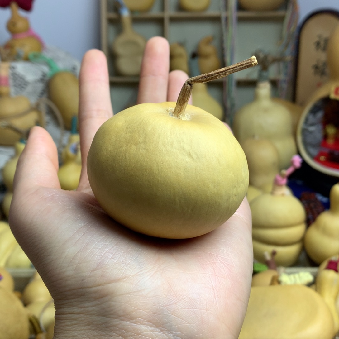 葫芦*️*橘子专拍