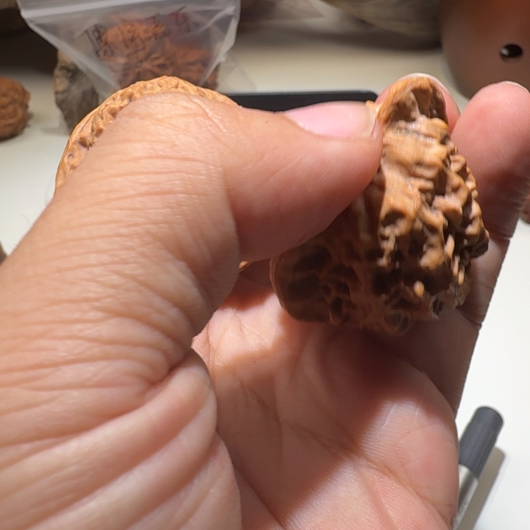 文玩核桃把件原树的