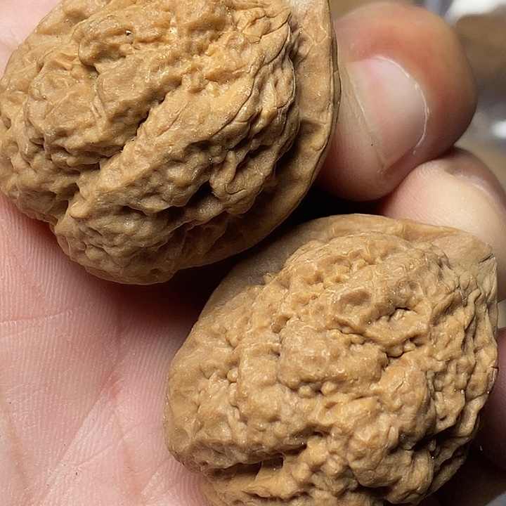 把件文玩核桃云南铁核桃29