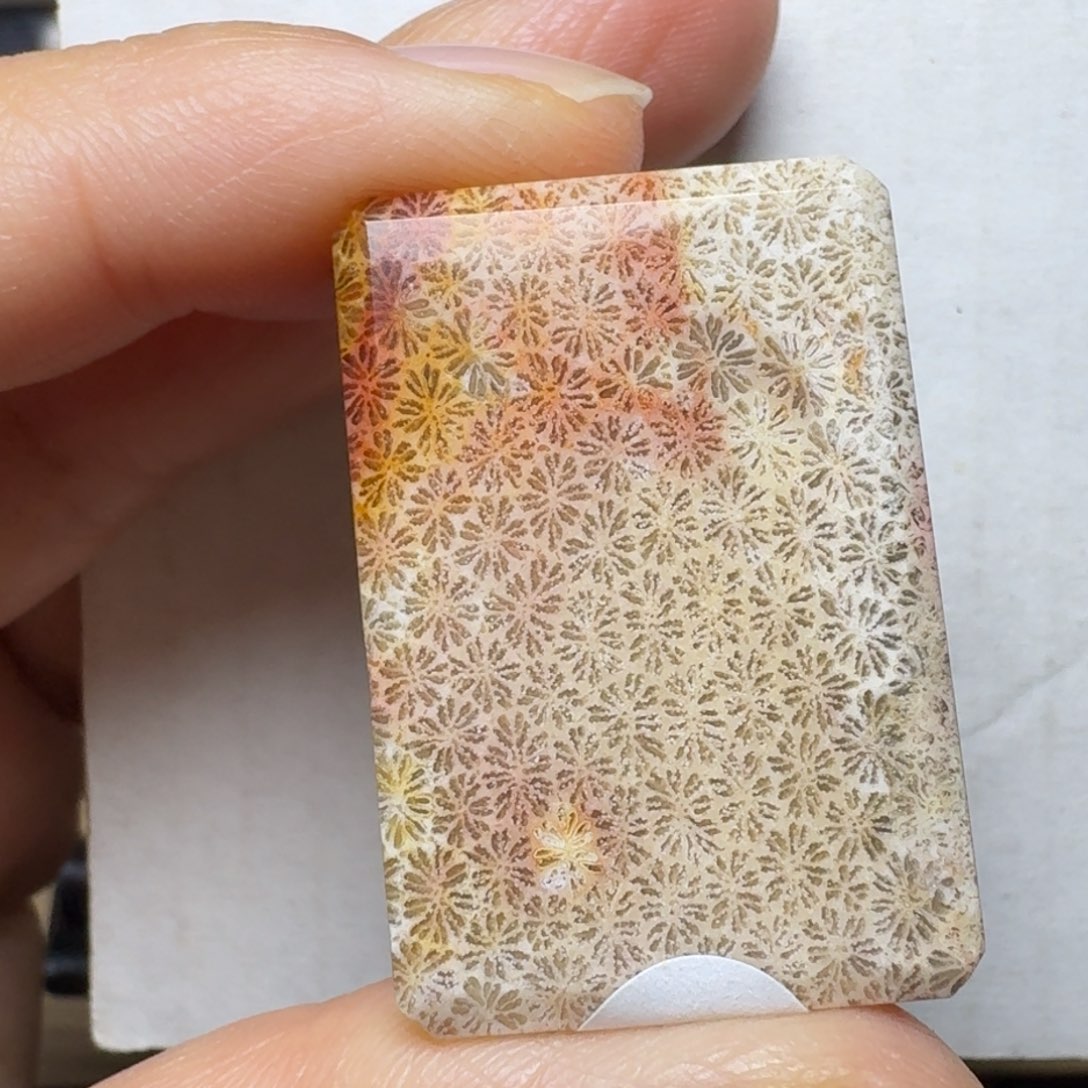 硅化玉透光的飘彩枫叶，可盘未镶嵌