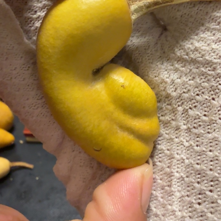 ～****6…………………………………………