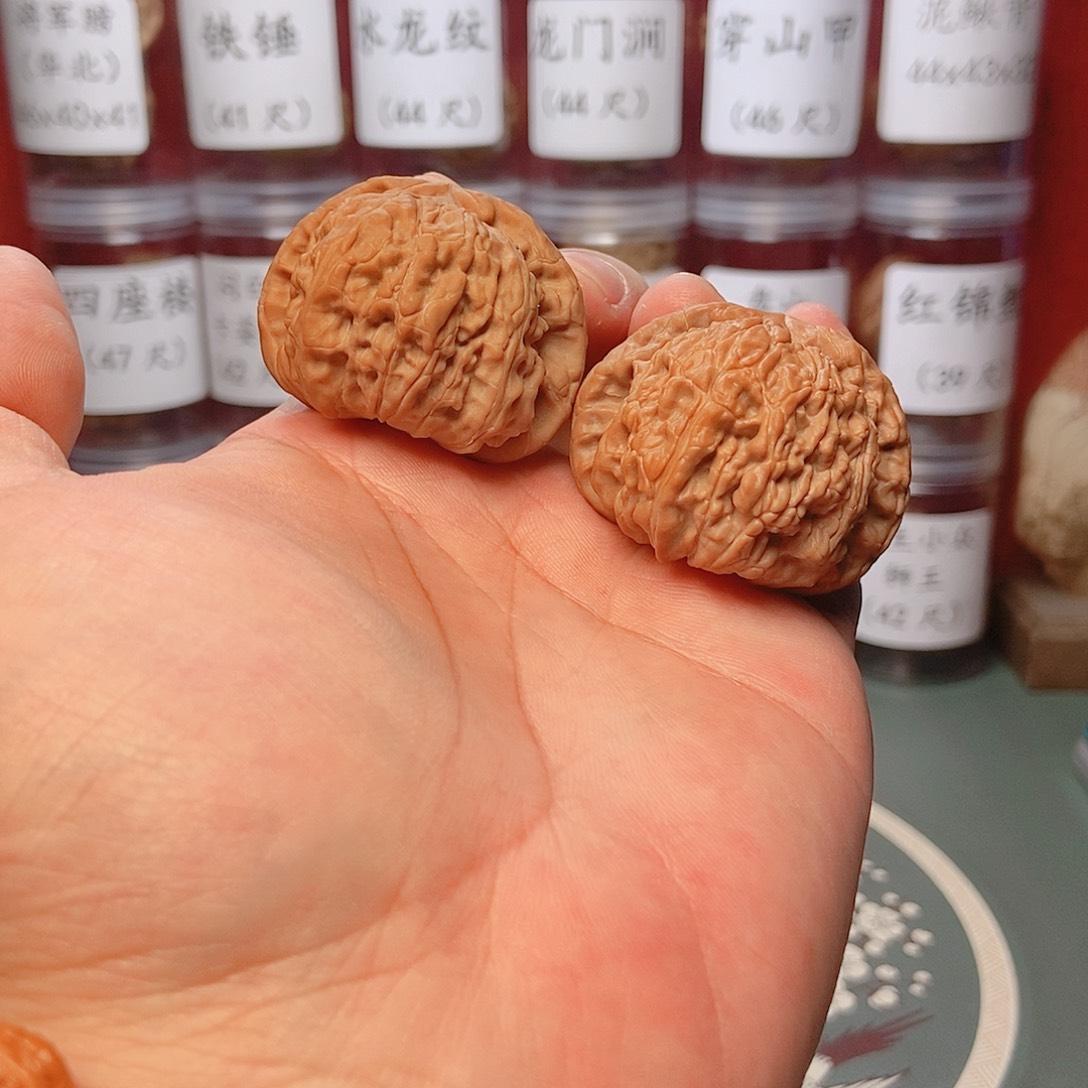 文玩核桃把件—*42全品白狮子