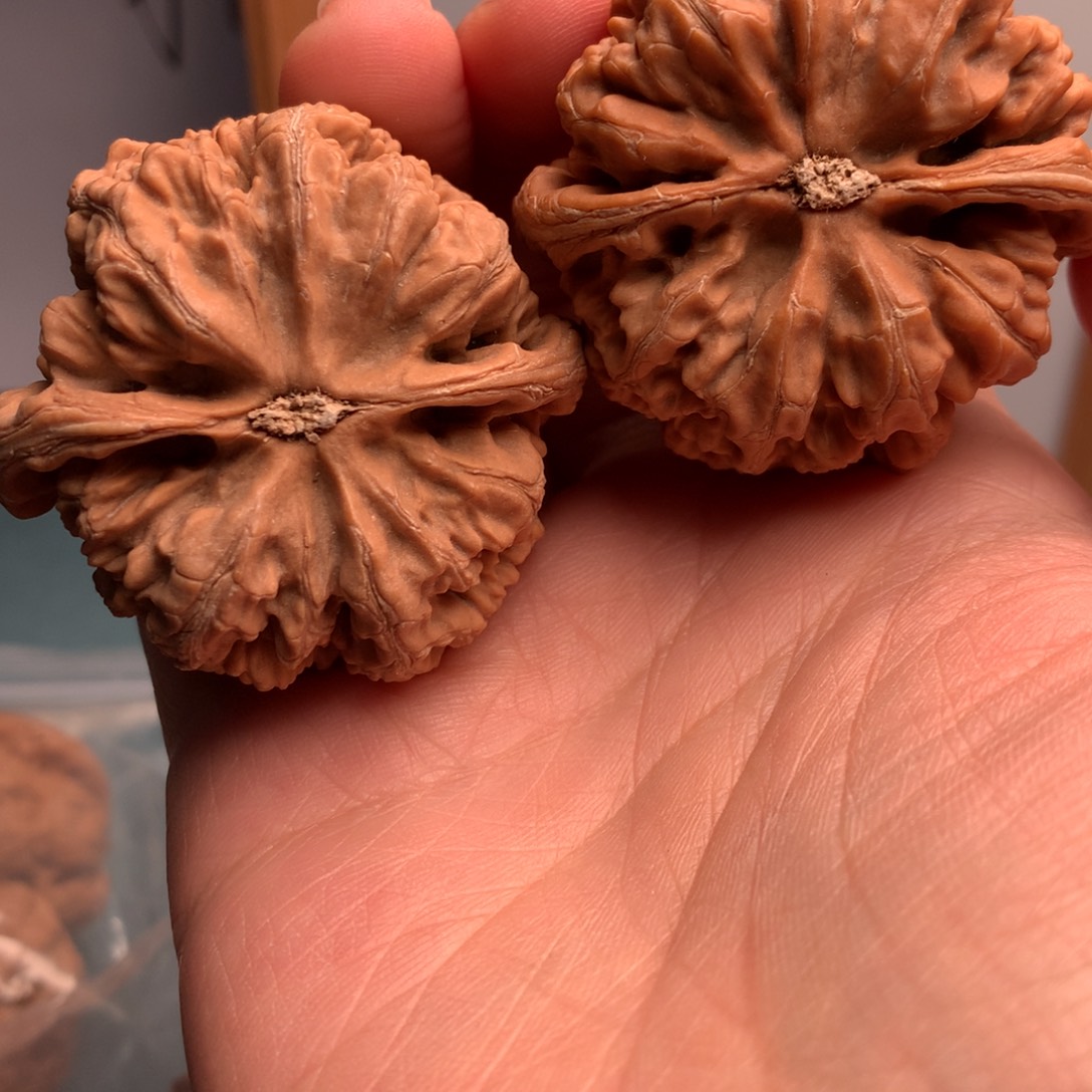 江***见粗筋11件和三包干料等