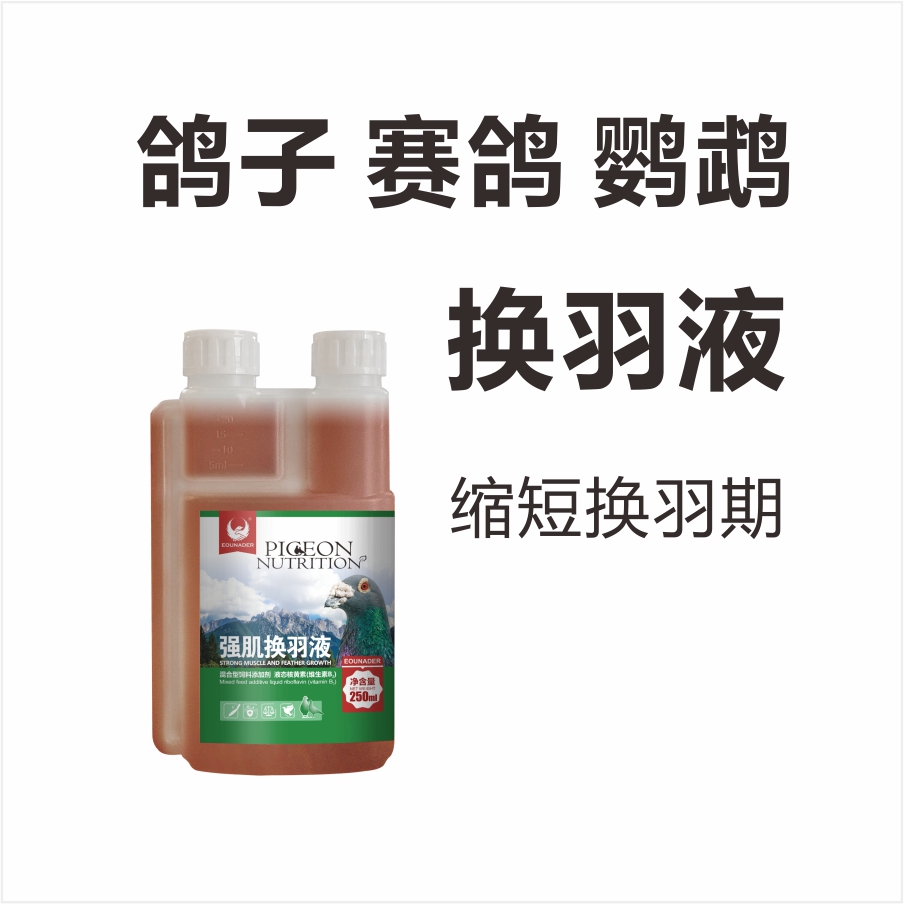 欧耐德强肌换羽液鸽子赛鸽7月8月换羽用品羽质好
