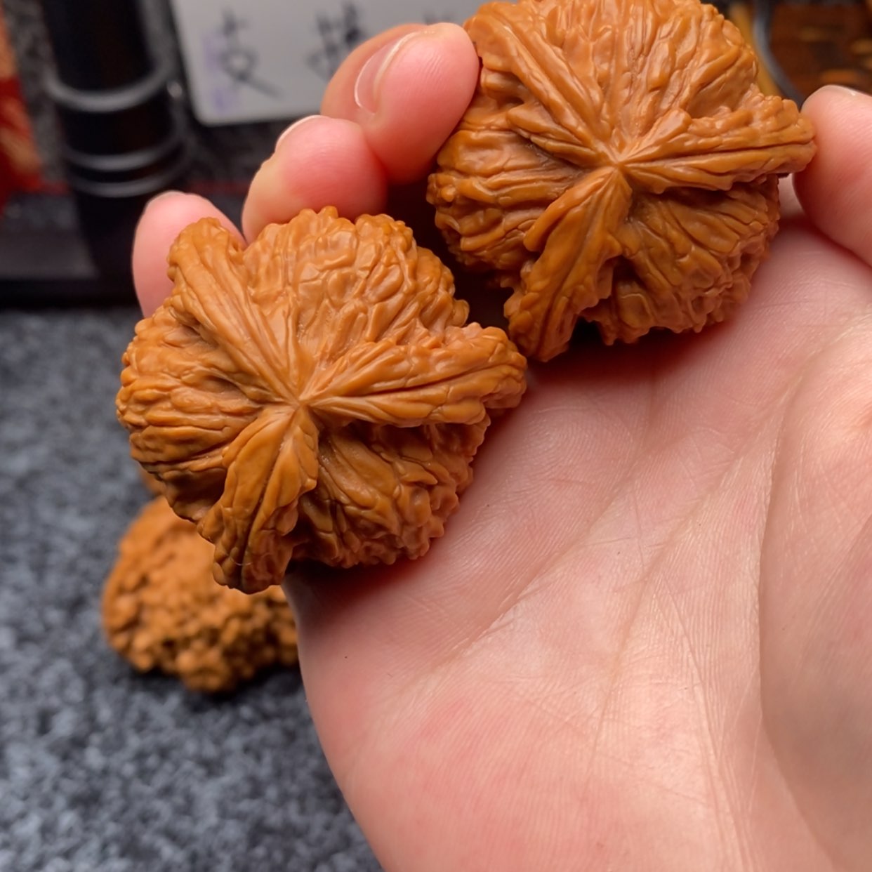 【闪购商品】暴***猩白狮子