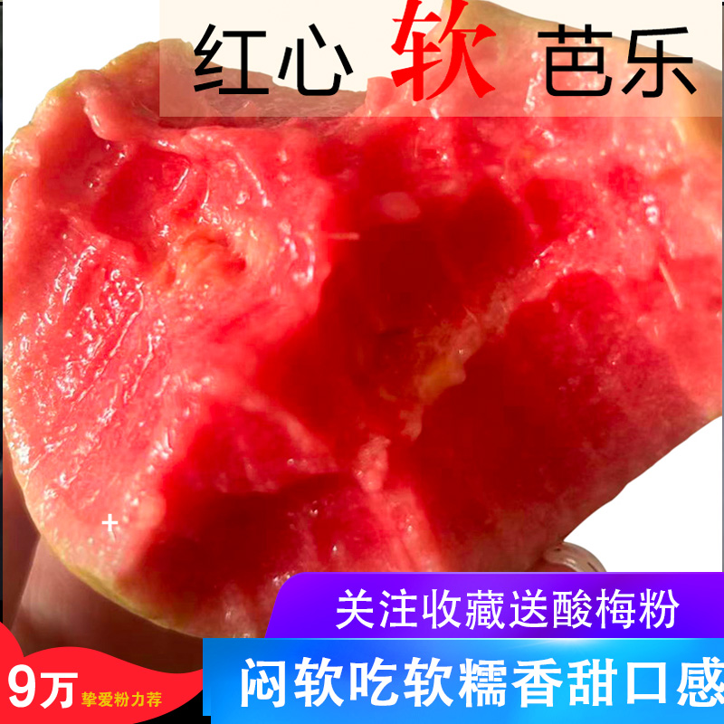 （放软吃）软糯红心芭乐3斤/5斤软心番石榴奶油红心个头偏小红心