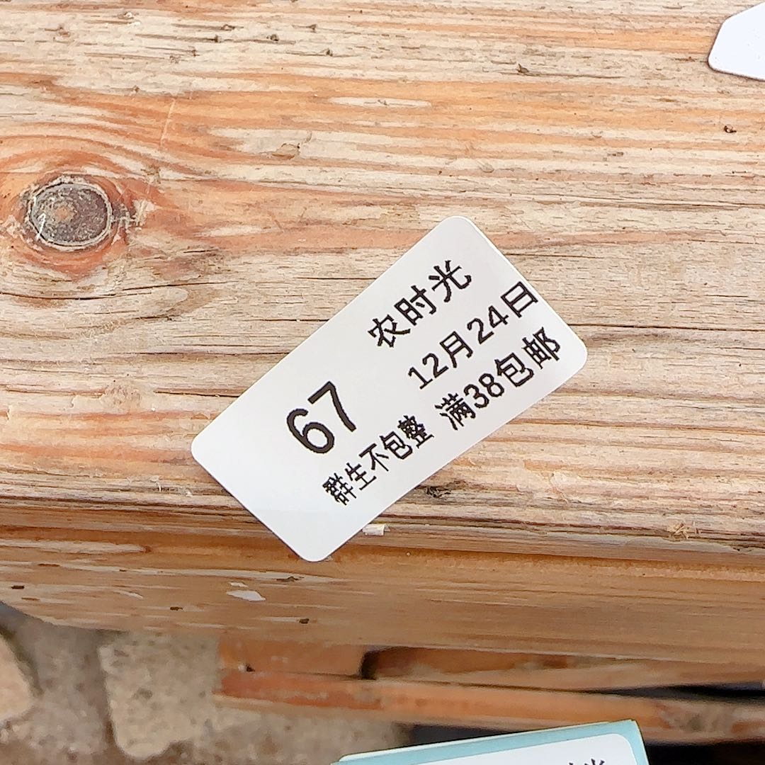 1224-67专拍多肉123