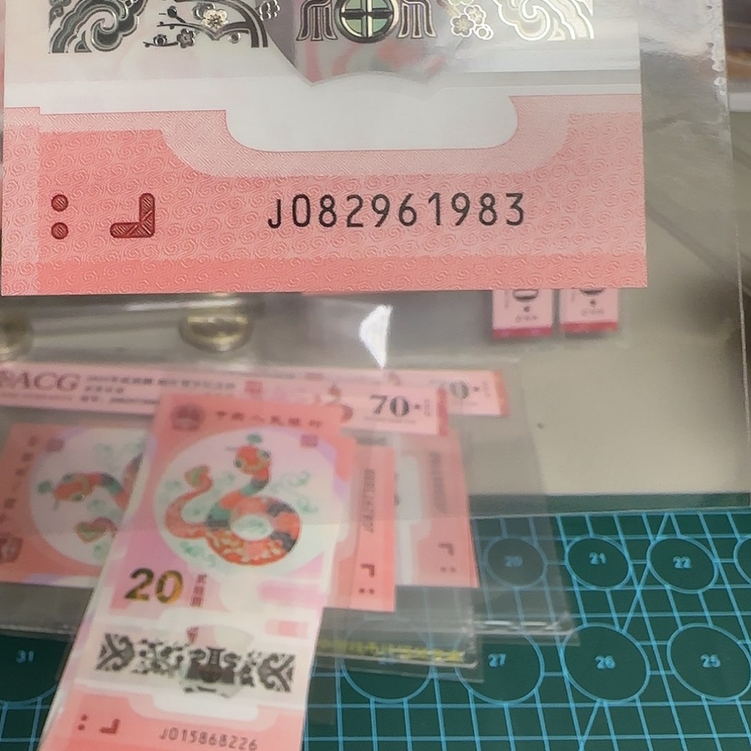 塑料蛇年纪念钞龙珠1983年