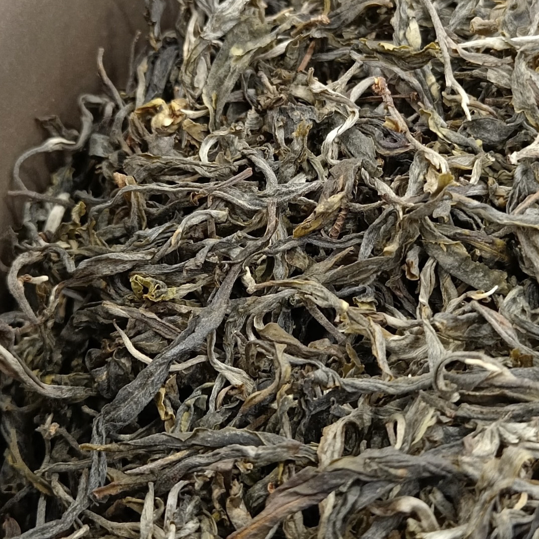 纯放漏！头春冰岛地界古树纯料 新人试喝30克