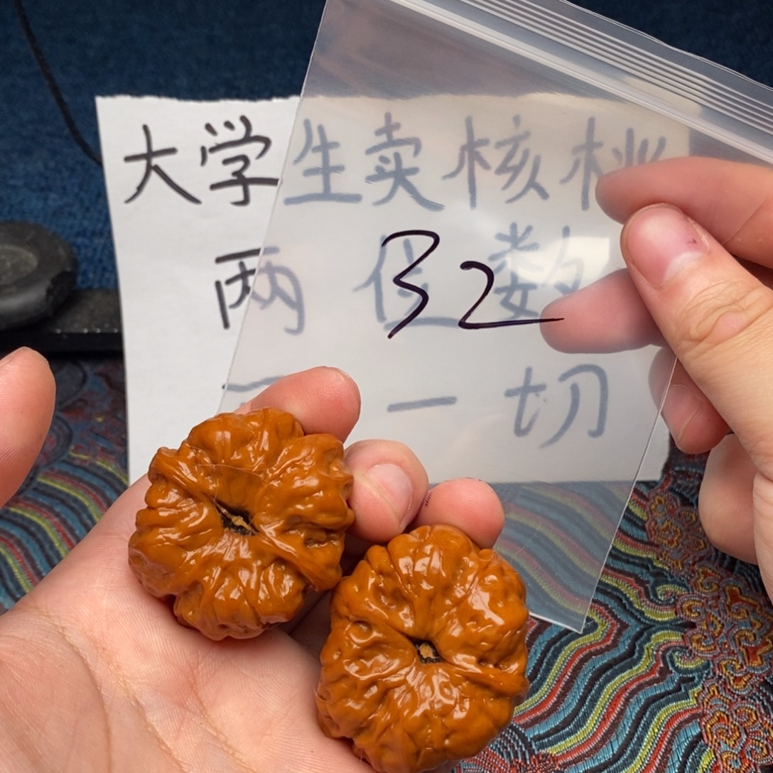 核桃哈哈哈哈哈哈哈哈哈哈哈