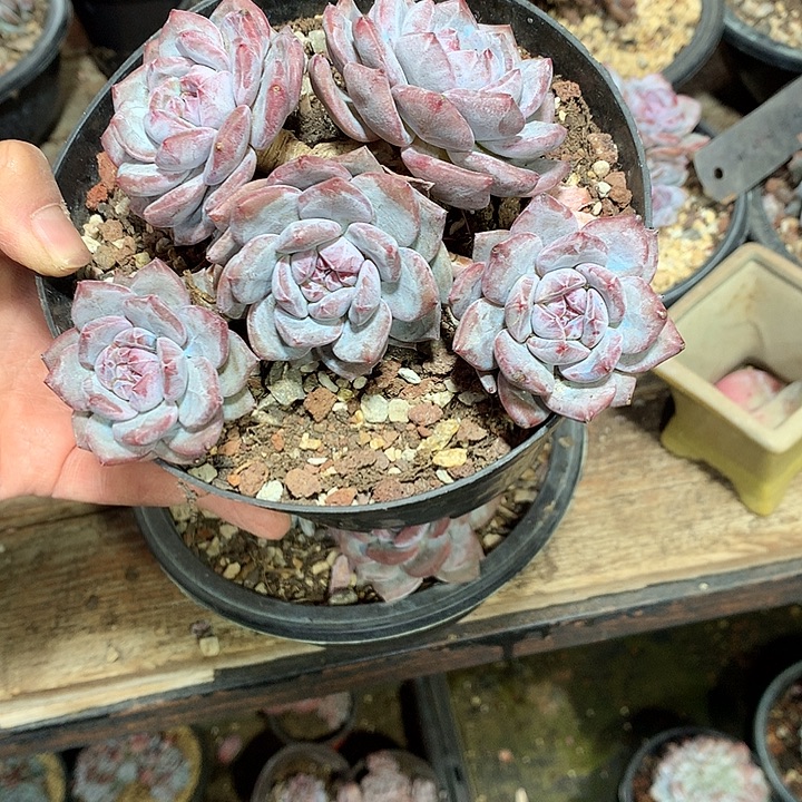 哈哈哈哈哈哈哈哈哈3