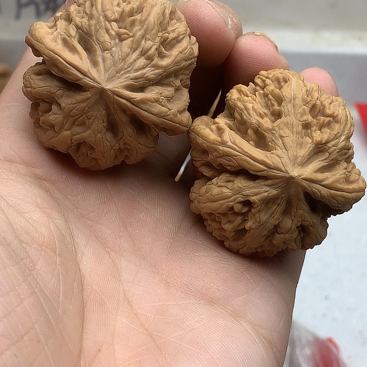 文玩核桃吊坠41粗筋