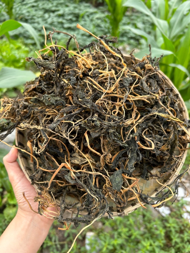 高山野菜雪芽菜干货石杆菜菜苔干