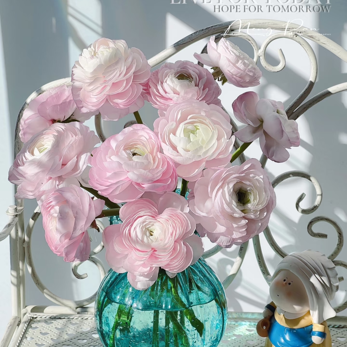 【荷花酥洋牡丹】粉色超级洋牡丹鲜花鲜切花顺丰冷链包邮少帅