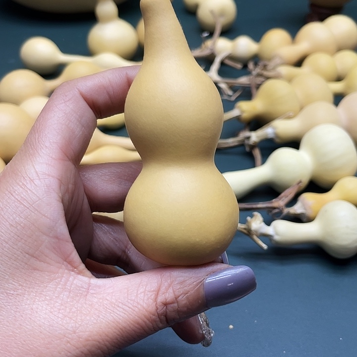 俺***刘大叶紫檀（黑酸枝木类）