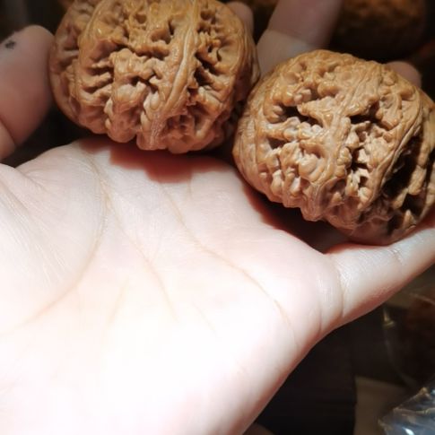 猴头核桃吊坠48粗筋
