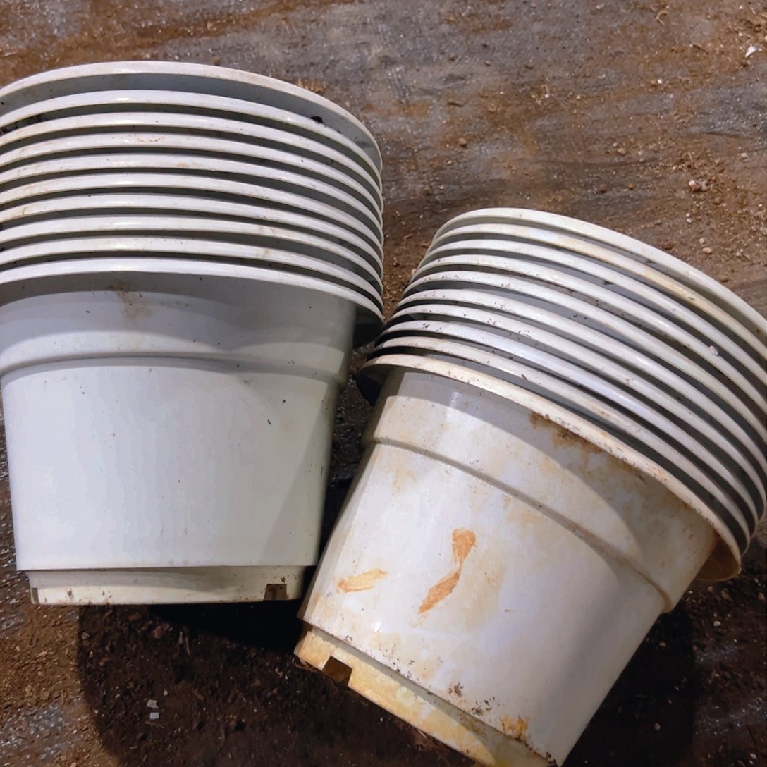 塑料白色硬圆盆 21口径14.5高 10个