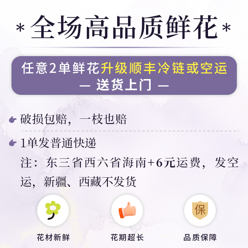 【花王朝】白水晶香水百合 云南直发鲜花家居水养插花鲜切花 