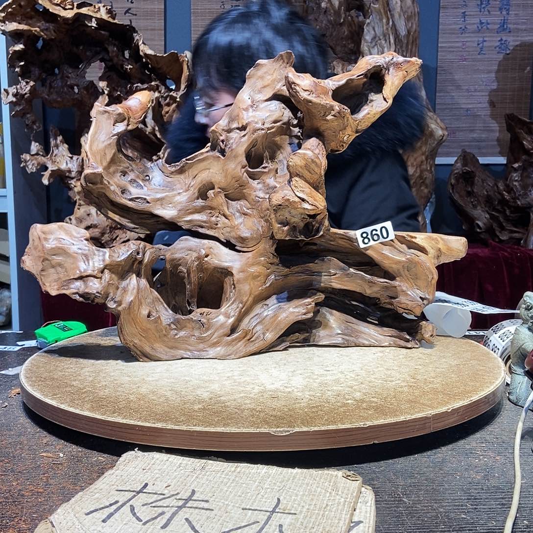 ꧁***꧂860。株木随行根艺