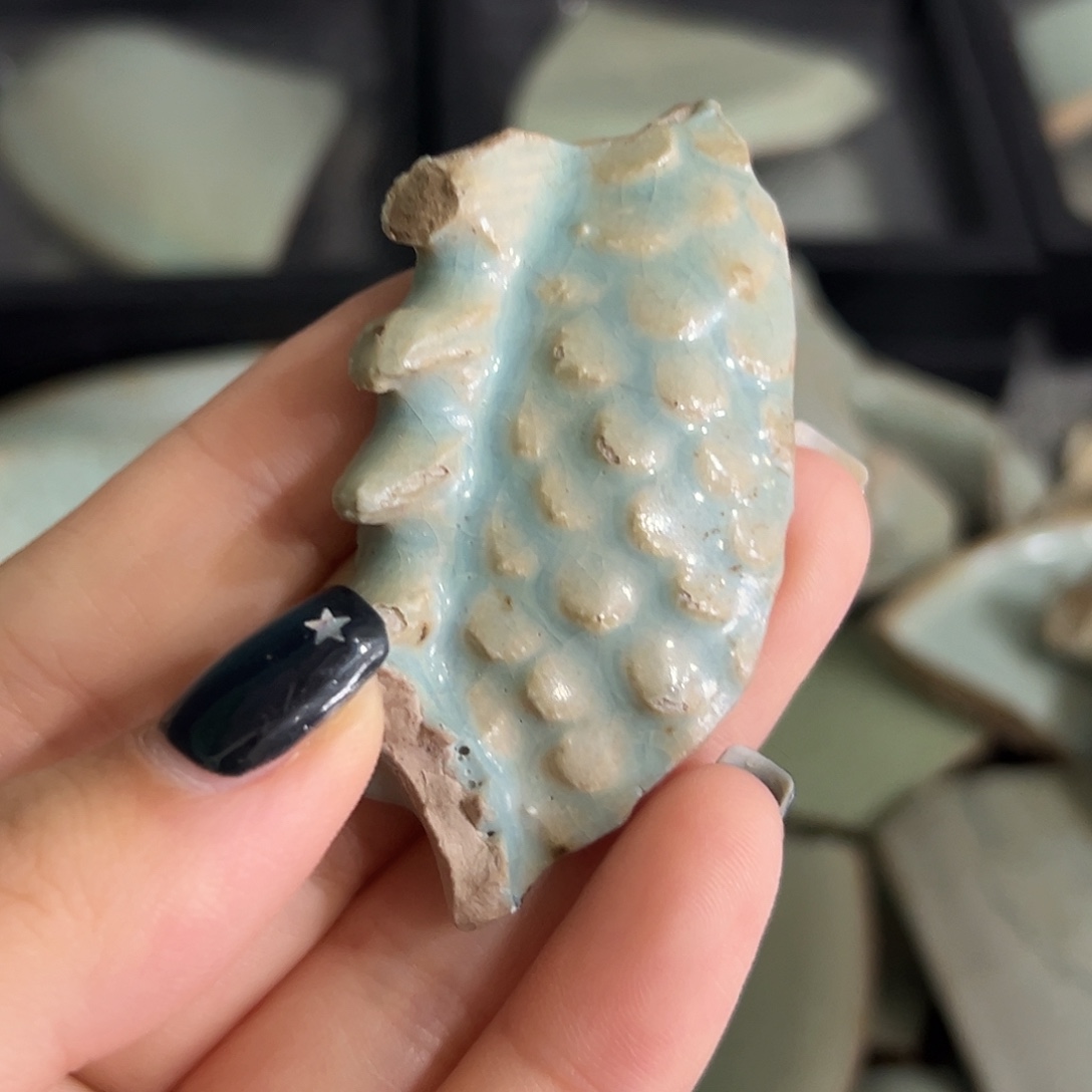 瓷片瓷瓷瓷瓷瓷瓷瓷瓷瓷瓷