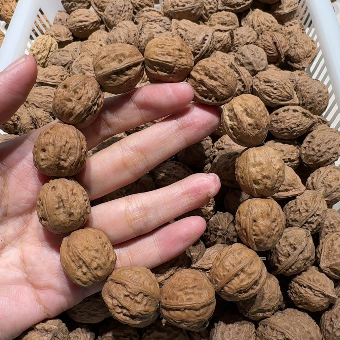 核桃手串/手链25号边21手串