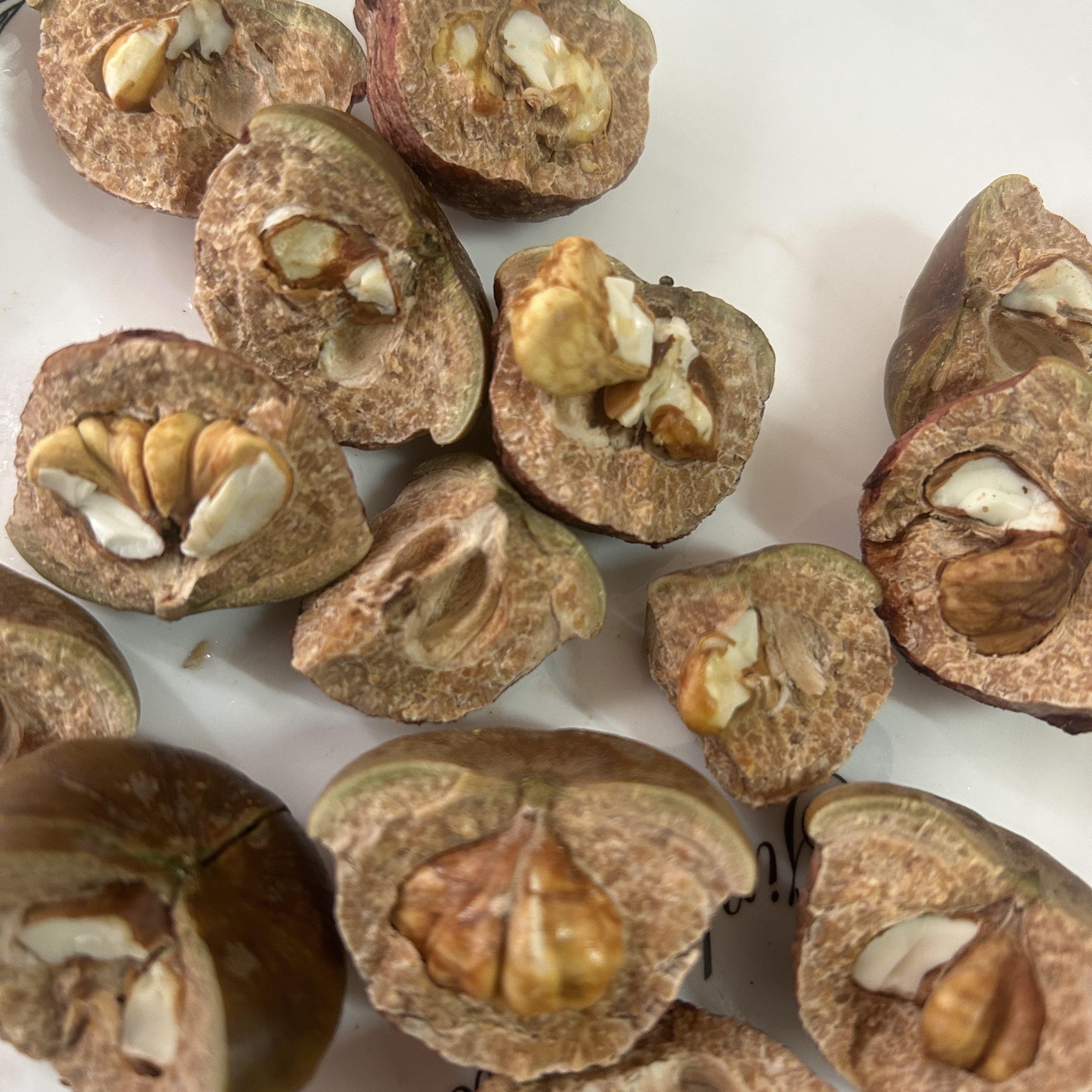 广西野生山核桃（石头果），芡实