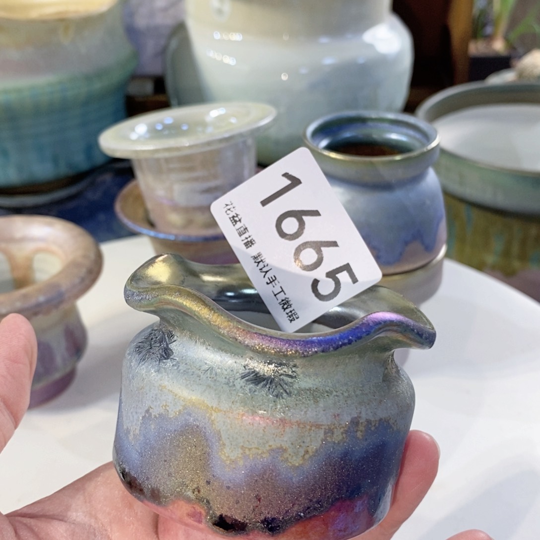 花盆花盆花盆花盆炫彩