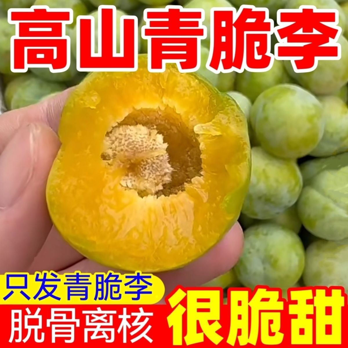 正宗重庆高山青脆李新鲜清脆李青翠李子新鲜当季水果
