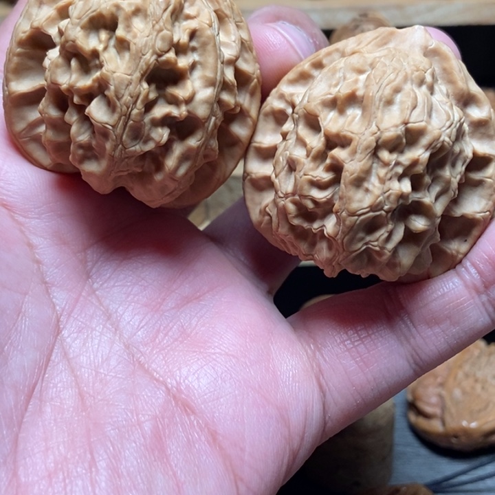 核桃把件风味原核小野3