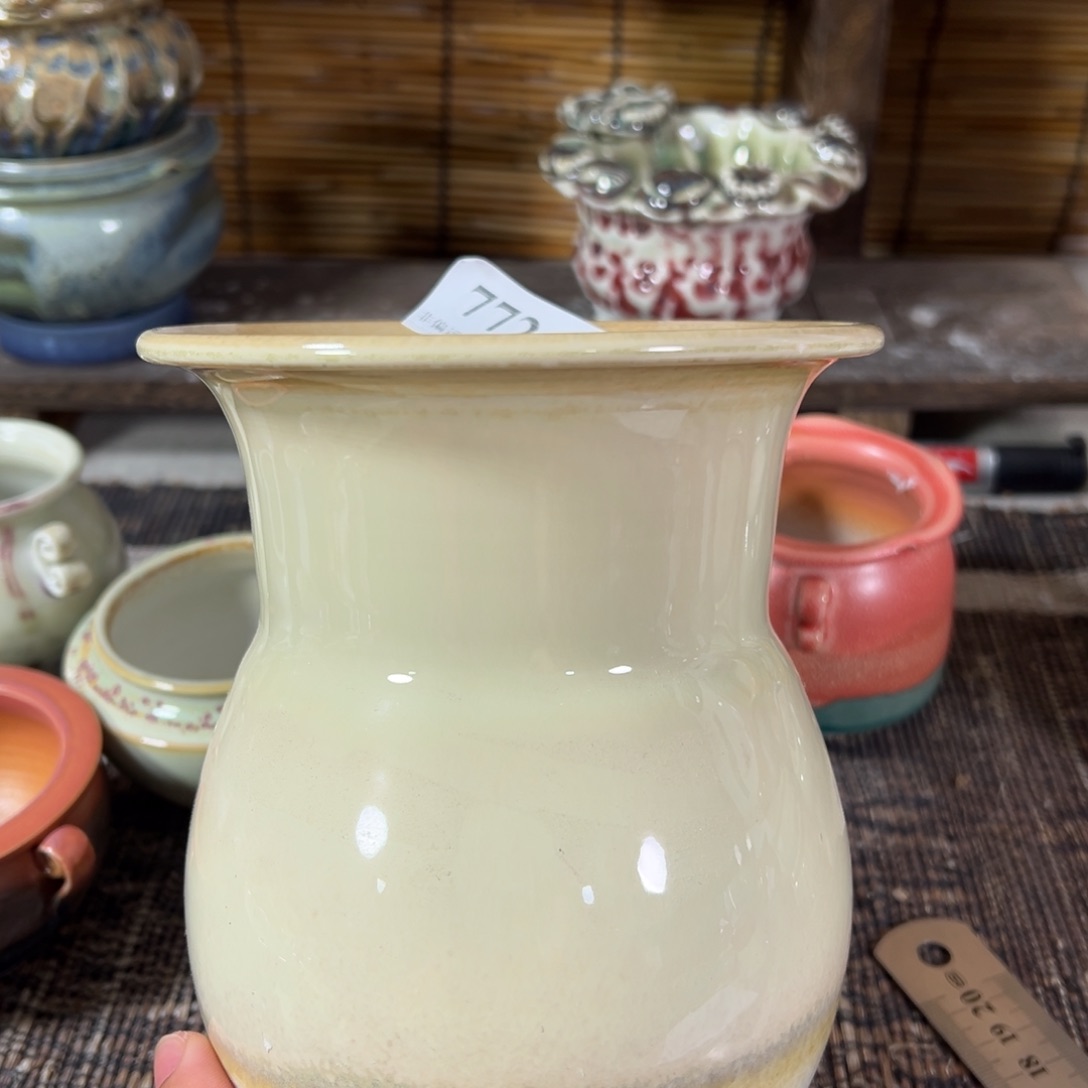 红陶口10高17福利