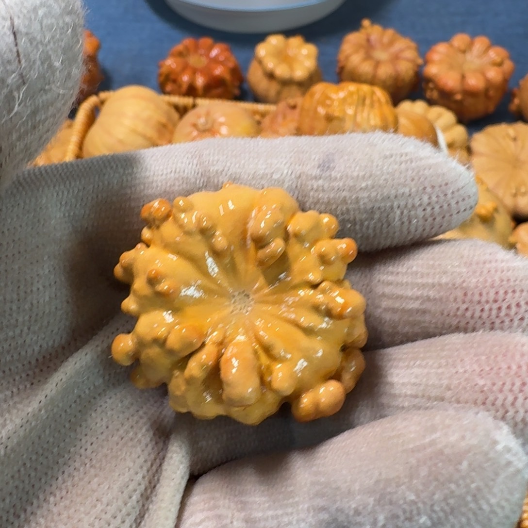 ✾***࿐墨西哥七彩疙瘩葫芦特价不退换