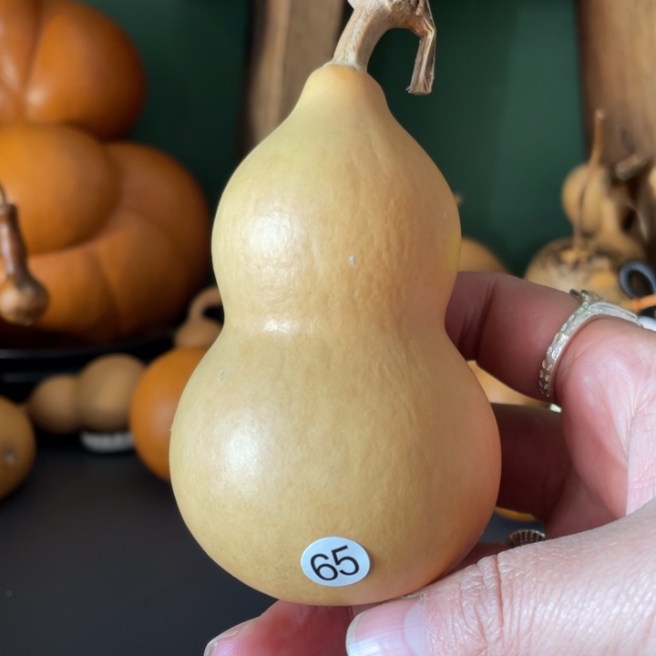 看好下单默认微瑕不保龙头