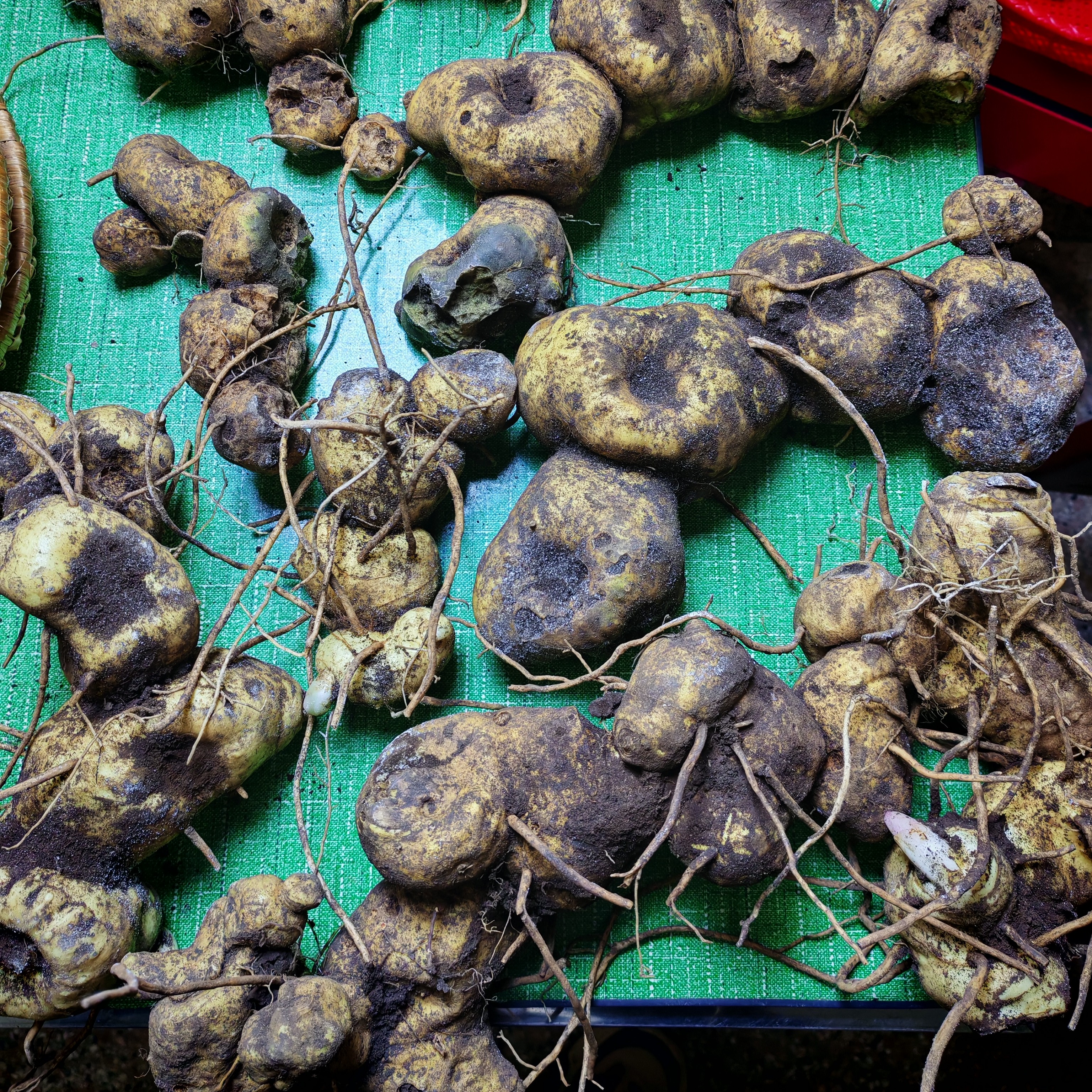 各类山货散装称重改价专用链接