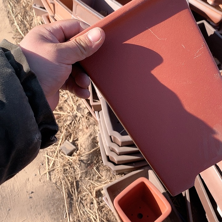 紫砂哈哈真的超级可爱哈哈哈