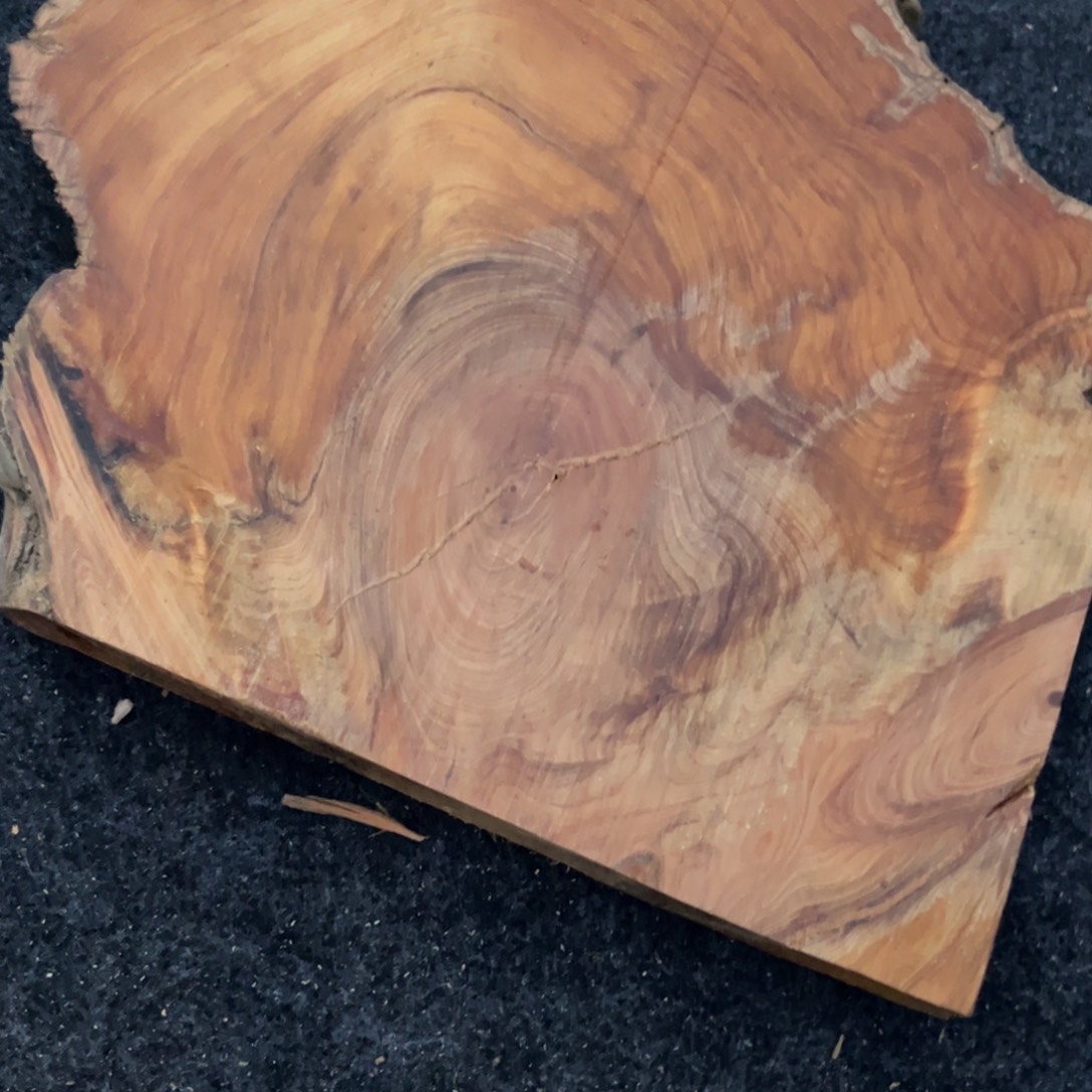 太***极柏木南太行崖柏切片