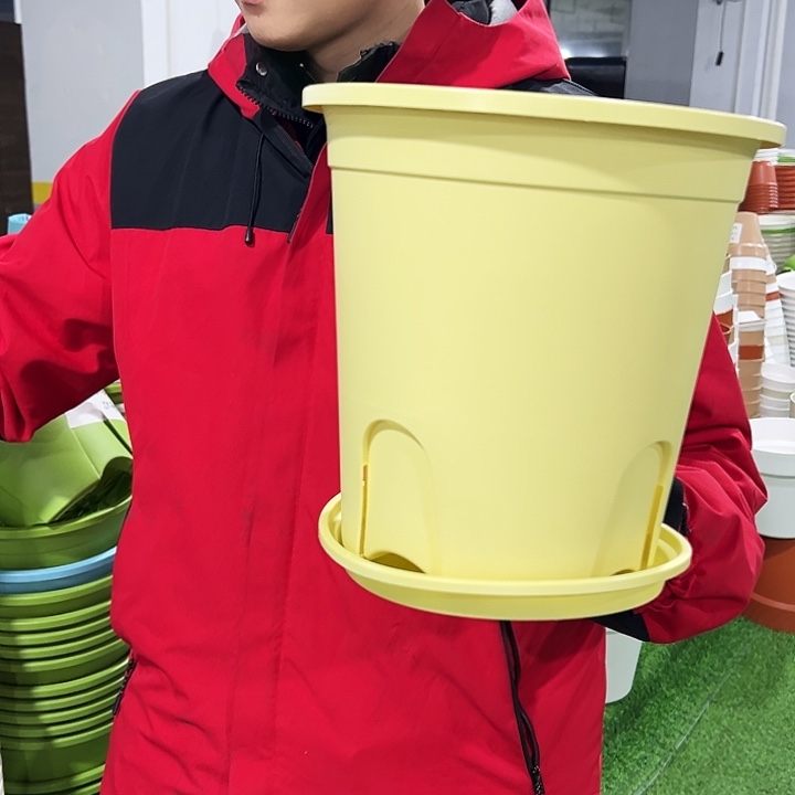 正品圆控口24高24黄色8只带托