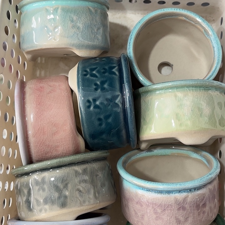 红陶发6个，非完美，介意慎拍。