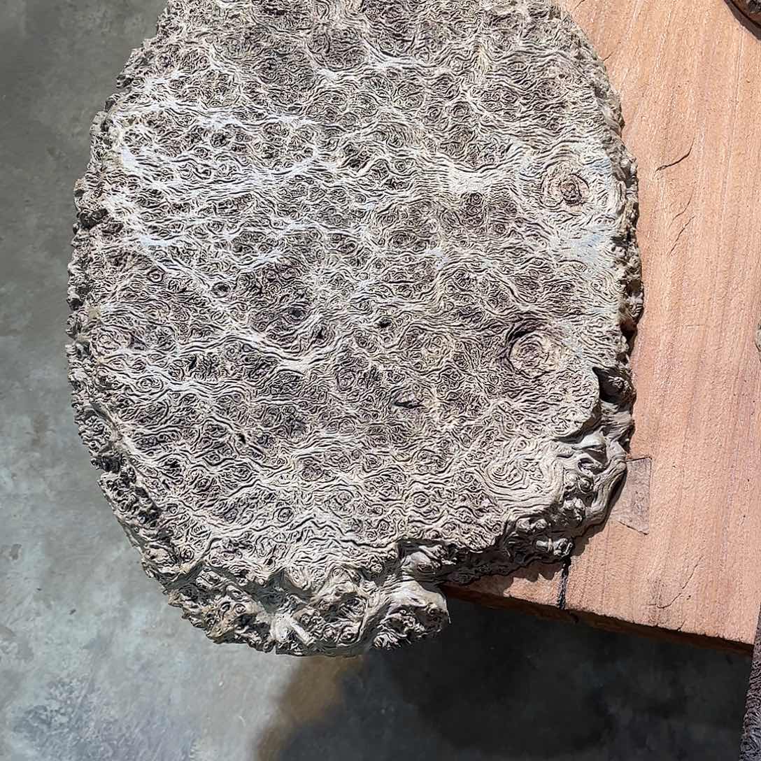 大***卷有机玻璃铁栎木精品干泡台